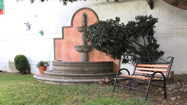 WhatsApp Image 2025-01-30 at 5.54.04 PM (2)