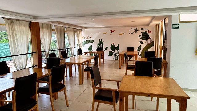 WhatsApp Image 2025-05-03 at 11.01.16 AM (5)