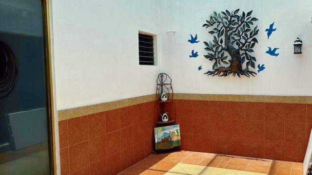 WhatsApp Image 2025-05-03 at 11.01.17 AM (1)