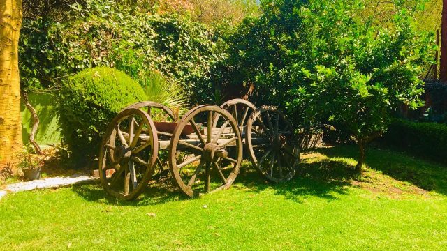 WhatsApp Image 2025-05-07 at 6.21.11 AM (1)