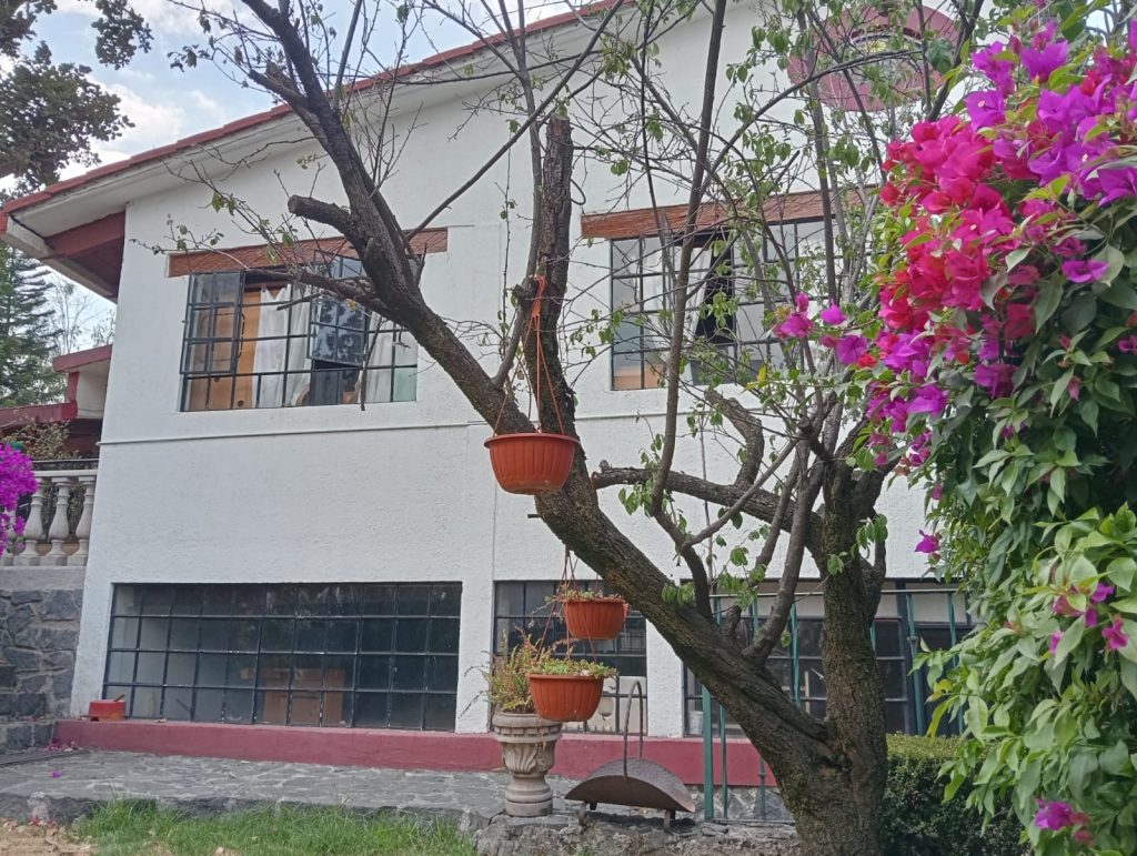 WhatsApp Image 2025-05-07 at 8.01.18 PM (4)