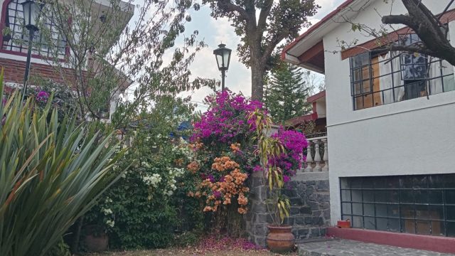 WhatsApp Image 2025-05-07 at 8.01.18 PM (5)