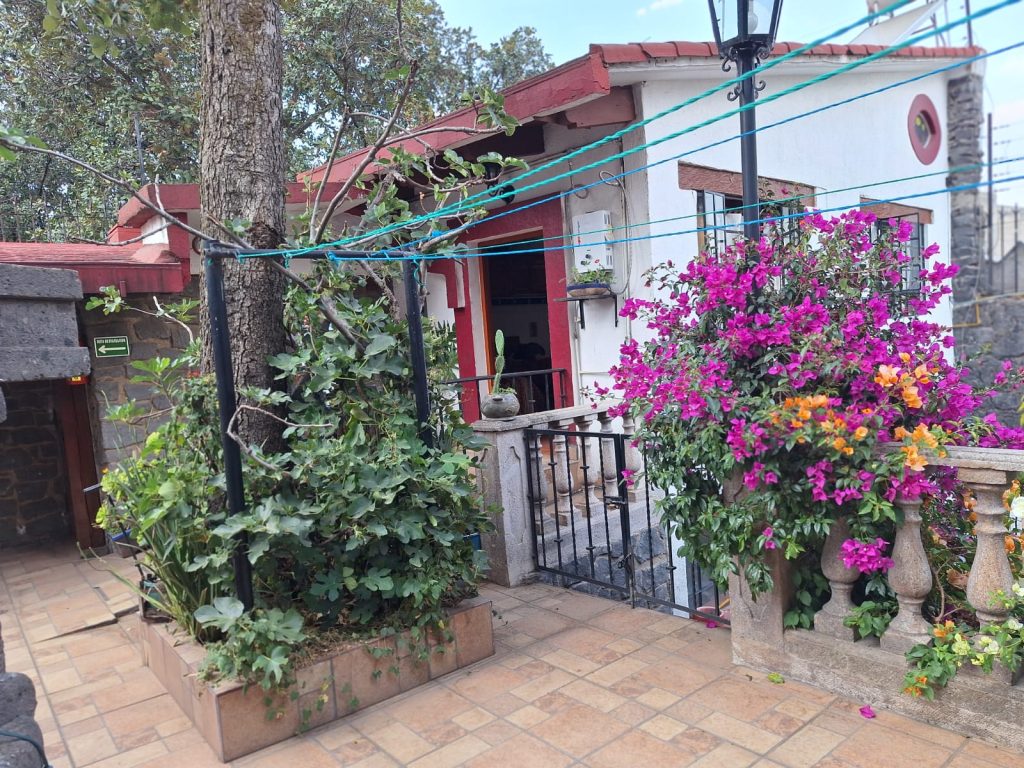 WhatsApp Image 2025-05-07 at 8.01.19 PM (5)