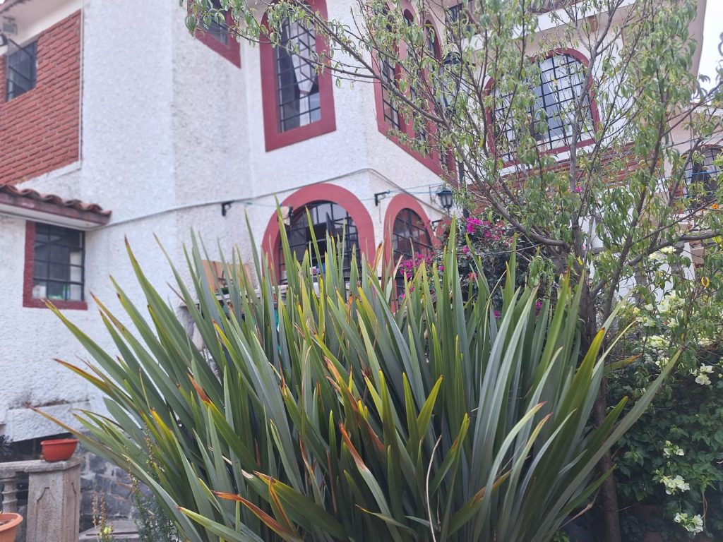 WhatsApp Image 2025-05-07 at 8.01.19 PM (6)