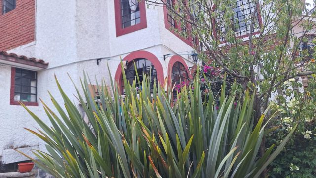 WhatsApp Image 2025-05-07 at 8.01.19 PM (6)