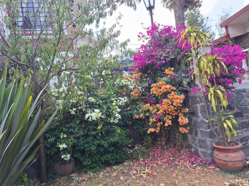 WhatsApp Image 2025-05-07 at 8.01.20 PM