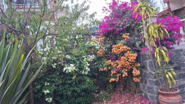 WhatsApp Image 2025-05-07 at 8.01.20 PM