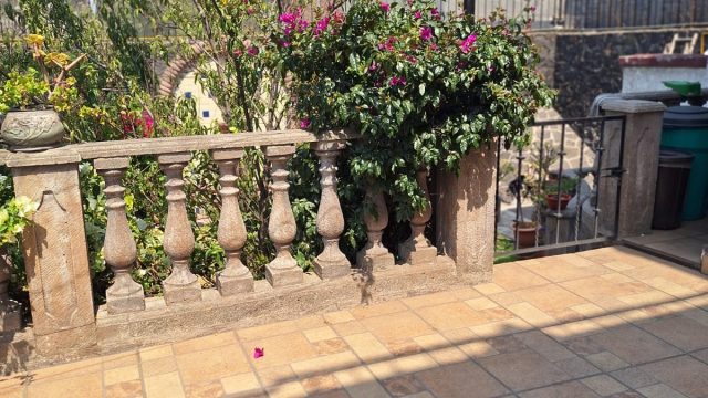 WhatsApp Image 2025-05-07 at 8.01.21 PM (3)