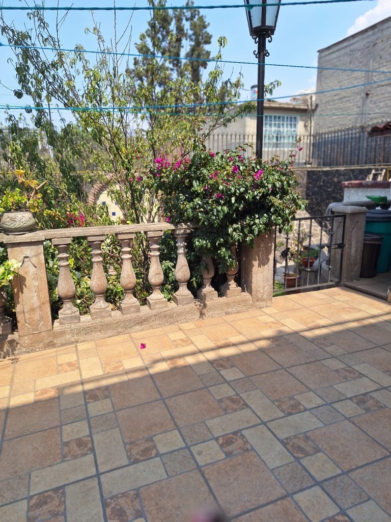 WhatsApp Image 2025-05-07 at 8.01.21 PM (3)