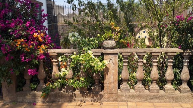 WhatsApp Image 2025-05-07 at 8.01.21 PM (4)