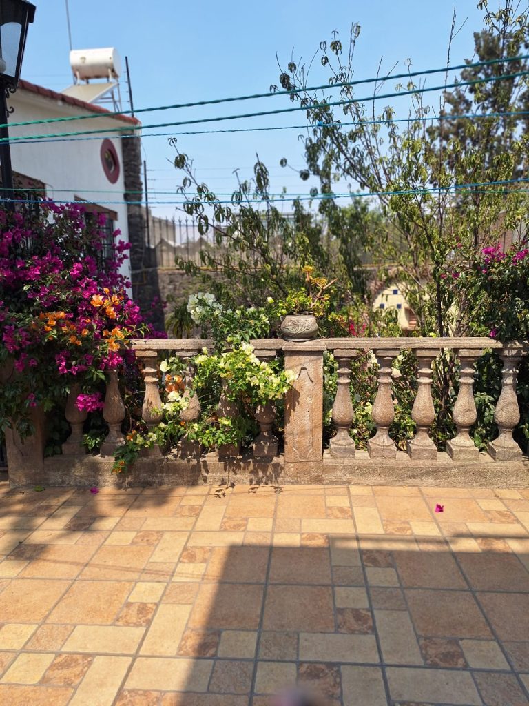 WhatsApp Image 2025-05-07 at 8.01.21 PM (4)