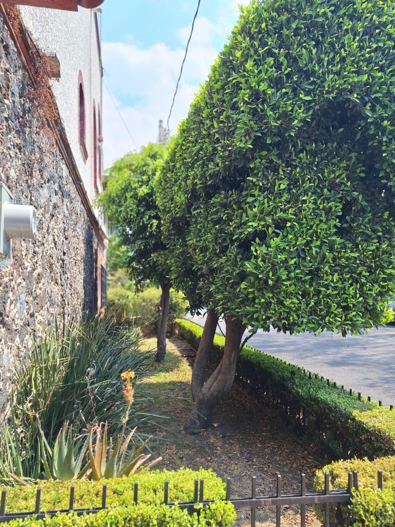 WhatsApp Image 2025-05-07 at 8.01.21 PM (6)