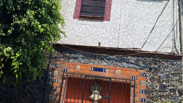 WhatsApp Image 2025-05-07 at 8.01.21 PM (7)