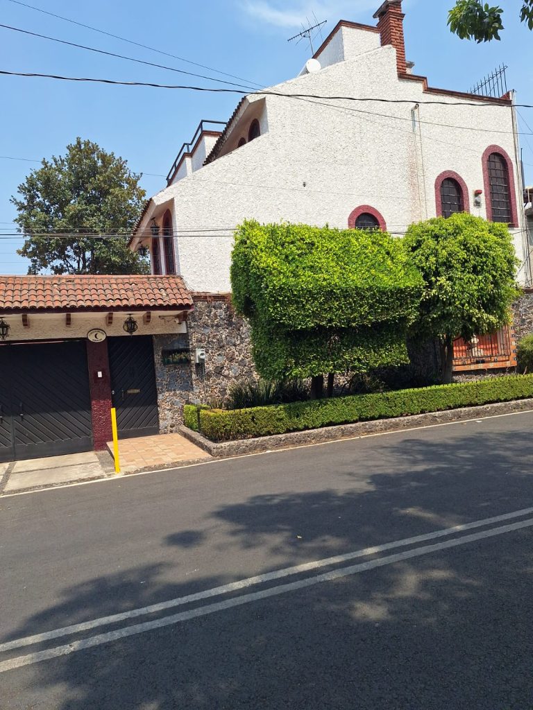 WhatsApp Image 2025-05-07 at 8.01.21 PM (9)